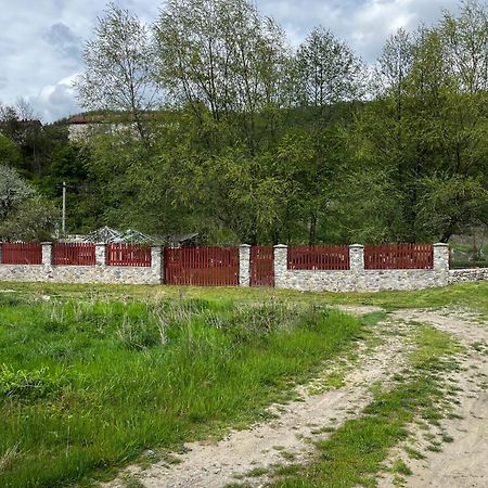 La Gradina Hotel Mehadia Exterior photo