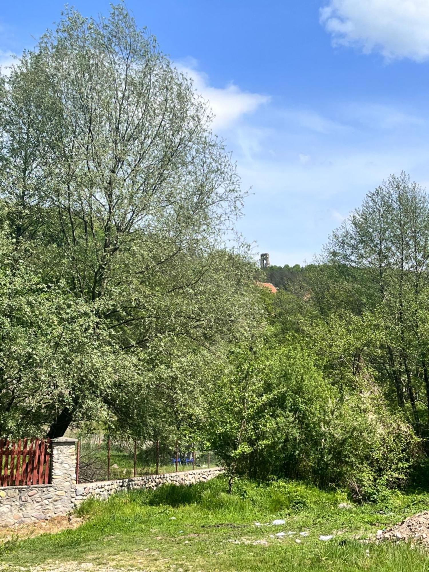 La Gradina Hotel Mehadia Exterior photo